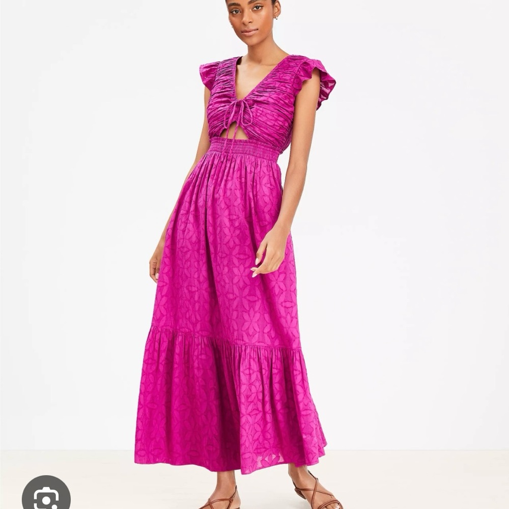 LOFT Beach Fuchsia Dress